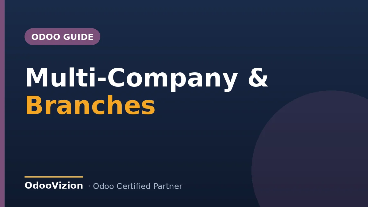 Odoo multi-company and branches guide cover — OdooVizion